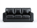 Canapé 3 places-cuir-bois-220x95x82 cm-noir-moderne